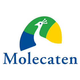 Molecatengroep